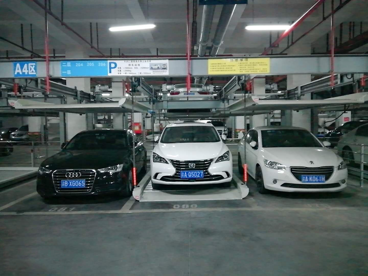 PJS�����������